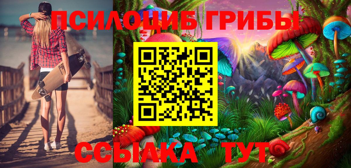 Нефтекумск  Галлюциногенные грибы GOLDEN TEACHER  Вход с VPN  Галлюциногенные грибы Psilocybine cubensis 